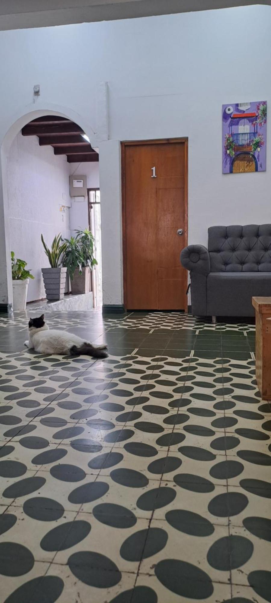 Hostal Casa Lara Cartagena Dış mekan fotoğraf